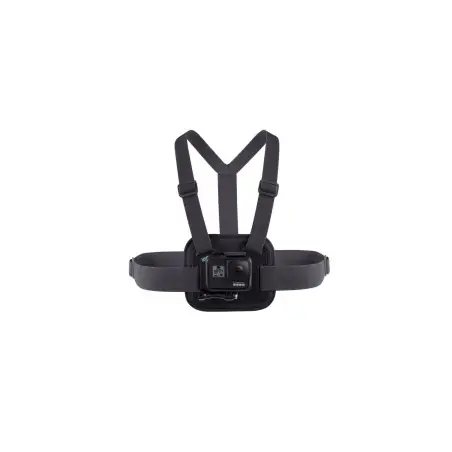 GoPro Accessories Action Kit