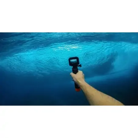 GoPro The Handler