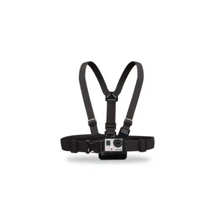 GoPro Chesty