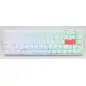 Ducky One 2 SF White RGB Cherry Mx Brown - 12 άτοκες δόσεις