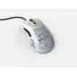 Glorious PC Gaming Race Model D Glossy  - 6 άτοκες δόσεις