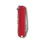 Victorinox Classic Style Icon