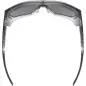 Uvex MTN Style CV Black Matt Mirror Silver