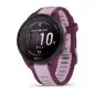 Garmin Forerunner 165 Music Berry/Lilac - 18  interest free installments