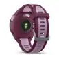 Garmin Forerunner 165 Music Berry/Lilac - 18  interest free installments