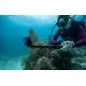 GoPro HERO 13 Black - 12 interest free installments GoPro HERO 13 Black - 12 interest free installments