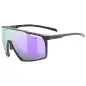Uvex MTN Perform Black/Purple