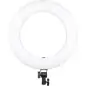 Viltrox VL600T Professional BiColor LED Ring Light with Light Stand 19m