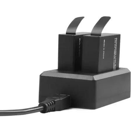 Akaso 2x Batteries with USB Dual Charger for Brave 7