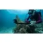 GoPro Extension Pole 4ft(2m)