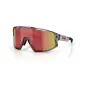 Bliz Vision Transparent Dark Grey - Red