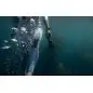 GoPro The Handler Floating Hand Grip