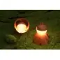 Nextool Acorn Light With Cover