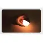 Nextool Acorn Light With Cover