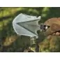 Nextool Multi Functional Folding Shovel Mini