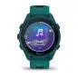 Garmin Forerunner 170 Music Teal Green with Teal Green/Citron Band - 12 άτοκες δόσεις Garmin Forerunner 170 Music Teal Green with Teal Green/Citron Band - 12 άτοκες δόσεις
