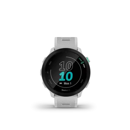 Garmin Forerunner 55 Whitestone - 12 άτοκες δόσεις
