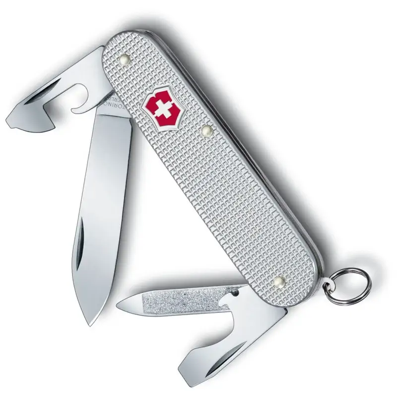 Victorinox Cadet Silver