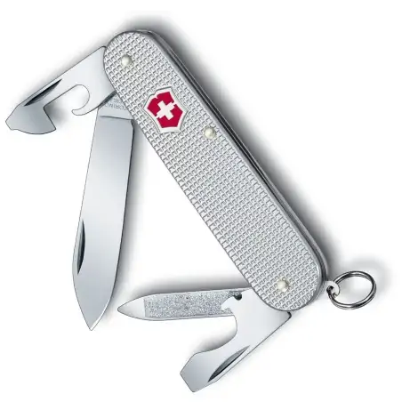 Victorinox Cadet Silver