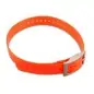 Garmin Orange 1 inch Collar Strap Replacement for DC/TT15/T5