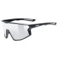 Uvex Skyryse Black Matt / Mirror Silver