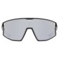 Uvex Skyryse Black Matt / Mirror Silver